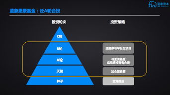 藍象資本聯合芥末堆成立藍象愿景基金，聚焦A輪實業投資